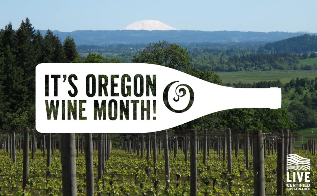 Patton Valley Vineyard Vertical Tasting