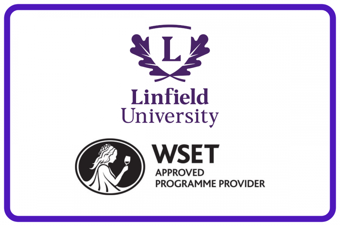 Imagen de referencia para entretenimiento en plataformas online