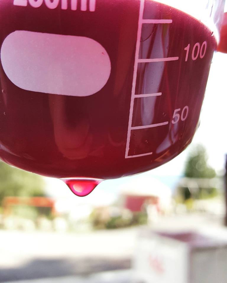 Wine Education Series Fermentation 101