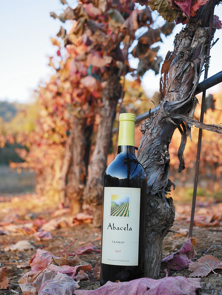 A bottle of Abacela Tannat in the vineyard where the grapes were grown. ## Photo provided by Abacela A bottle of Abacela Tannat in the vineyard where the grapes were grown. ## Photo provided by Abacela