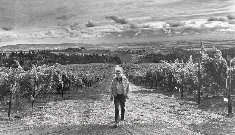 Cal Knudsen stands among his young vines in the Dundee Hills. ##Photo provided