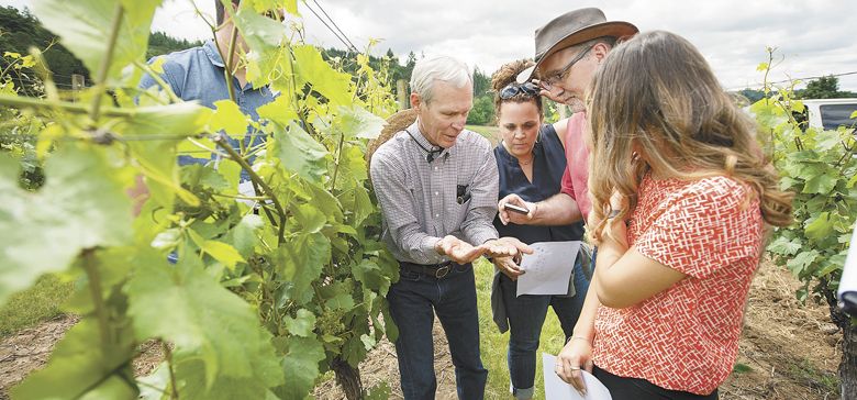 Linfield students learn about sustainable practices at Crawford Beck Vineyard in the Eola-Amity Hills AVA with owner David Beck (left) and Wine Studies Director Greg Jones. ##Photo courtesy of Linfield College