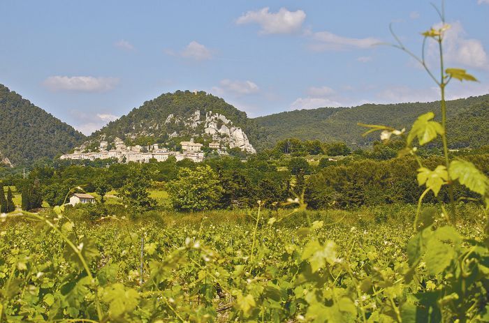 “Seguret is a few kilometers north of Gigondas, and the vines in the foreground are probably Grenache. We had stopped nearby at one of the best, informal country restaurants called Le Fleur Bleue for lunch after meeting producers in Gigondas. These amazing little medieval towns are clustered against every stony hillside in this part of Vaucluse, France.” - Steven Baker.Photo by Steven Baker