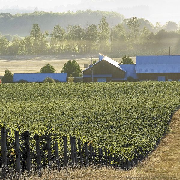 Benton-Lane is located in the southern portion of the greater Willamette Valley AVA.Photo by Andrea Johnson