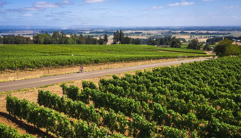 “Everybody
who gets on
a bicycle in wine
country is going to
see the world more
clearly. They’re going
to see more of
everything,” says
Yamhill County
Commissioner
Casey Kulla.  ## Backroads/Andrew Opila
