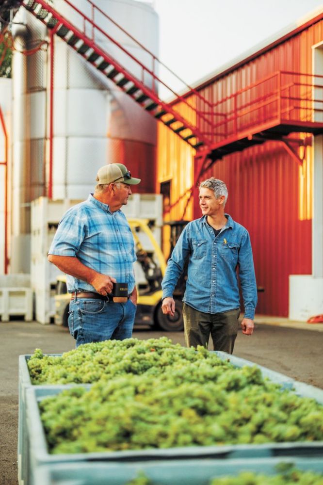 Owner Rob Wallace (left) pictured with winemaker Jean-Michel Jussiaume (right) during the 2022 harvest.##Photo provided