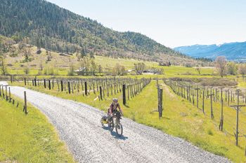 Cyclist Glenn Charles bikes a winding road through Wooldridge Creek Vineyard in Southern Oregon’s Applegate Valley.