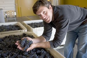Drew Bledsoe during harvest at Artifex Wine Company in Walla Walla.