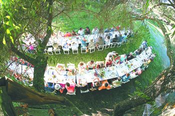Guests gather under a large tree at Restoration Farm in Ashland during last year’s Farm to Fork series. This particular
farm is host to the Southern Oregon Permaculture Institute, which offers adult education and the Farm to Kids summer camp.