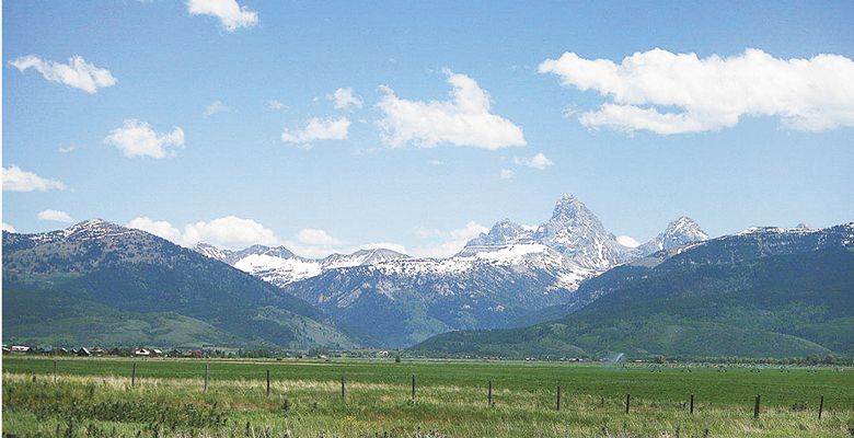 A backdrop of the Grand Tetons makes for dramatic scenery at Lark’s Meadow pasture land in Idaho. ##Photo provided