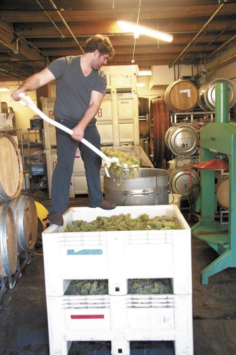 Jesse Skiles shovels white grapes into the press at his Southeast Portland winery, Fause Piste. Photo by Szymczak.