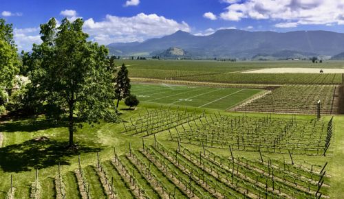 Hayworth Estate sports a regulation-sized football field next to its growing vines. ##Photo provided