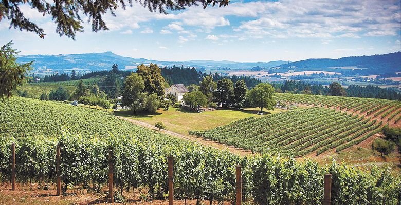 David Hill Vineyards & Winery, Willamette Valley. ##Photo courtesy of David Hill