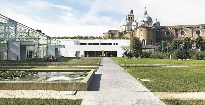 Orto Botanico di Padova, site of the 2017 AAWE Conference, with the Piazza Duomo in the background.  ##Photo by Neal Hulkower