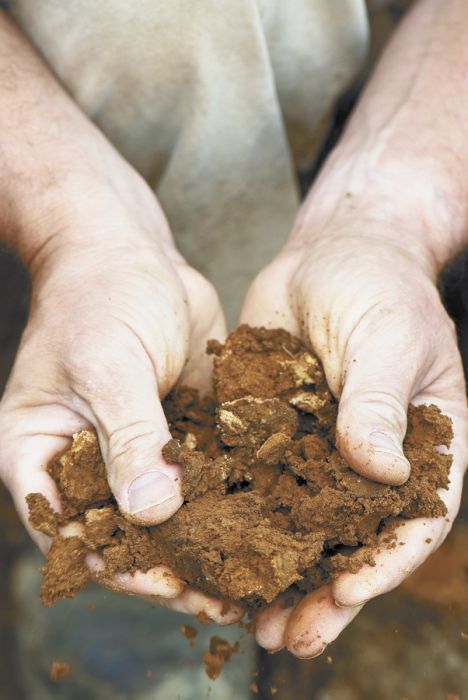 Ken Wright holds soil freshly unearthed from Abbott Claim Vineyard in Yamhill-Carlton AVA. Soils at this site are mostly Wellsdale with some areas of Willakenzie, Melbourne and Peavine. All of them lie atop mother rock of fractured sandstone and siltstone. Photo by Andrea Johnson/www.andreajohnsonphotography.com