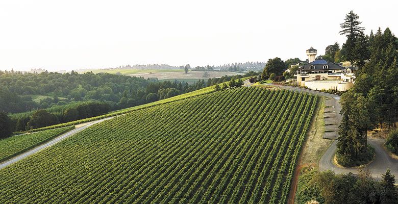 Willamette Valley Vineyards ##Photo by Andrea Johnson