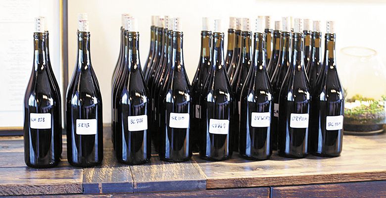 Different lots of Brooks Pinot line the bar waiting to be used in the somms’ blends. ##Photo by Mary Cressler