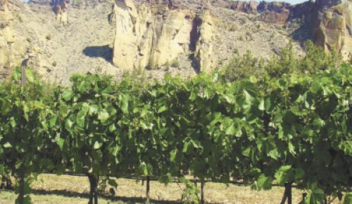 The monolith known as Monkey Face rises above its namesake vineyard at Ranch at the Canyons. Photo provided.