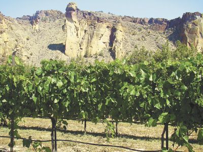 The monolith known as Monkey Face rises above its namesake vineyard at Ranch at the Canyons. Photo provided.