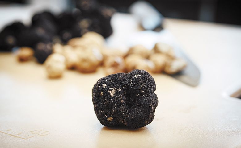 An Oregon black truffle takes center stage during the 2019 Oregon Truffle Festival. ##Photo by Kathryn Elsesser