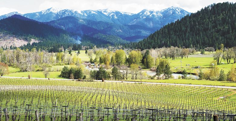 The Siskiyou Mountains provide a dramatic backdrop for Deer Creek Vineyards, located in the Illinois Valley, a southwestern region of the Rogue Valley. ##Photo by Kathryn Elsesser