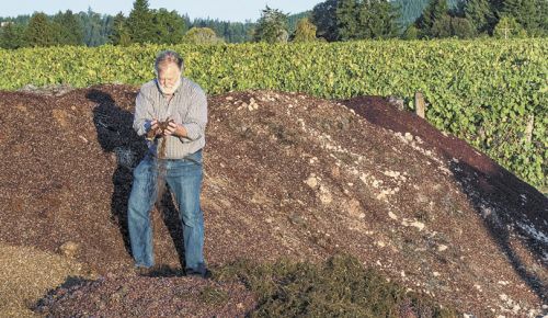 Marchesi sifts through compost at Montinore Estate. ##Photo by Andrea Johnson