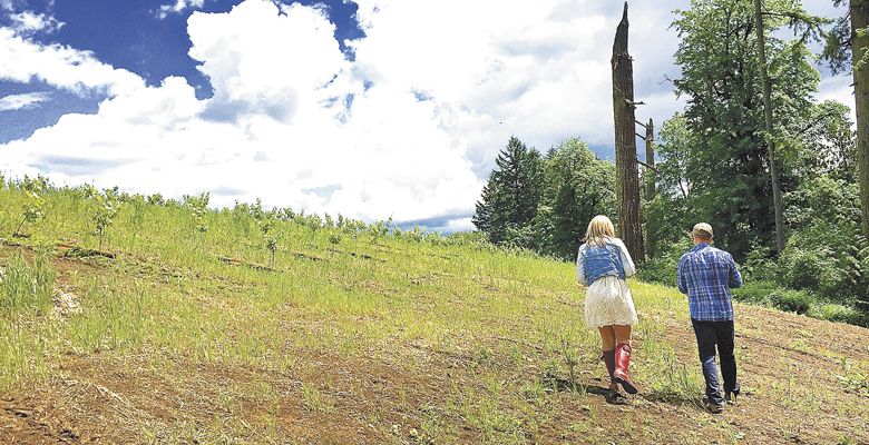 Kristin and Devin Andolsen walk their Chehalem Mountains property, KAV Estate, located outside Newberg. Their young vines should produce a small amount of fruit this coming harvest. ##Photo provided