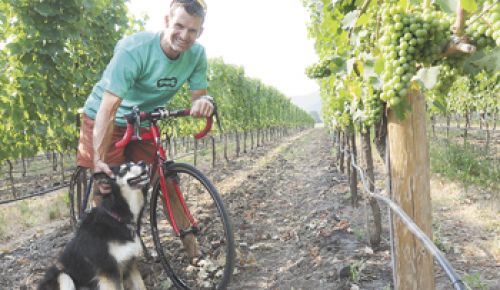 Gus Janeway rests on his bike at Gold Vineyard in Talent, with owners Randy and Rebecca Gold s dog, Maya.