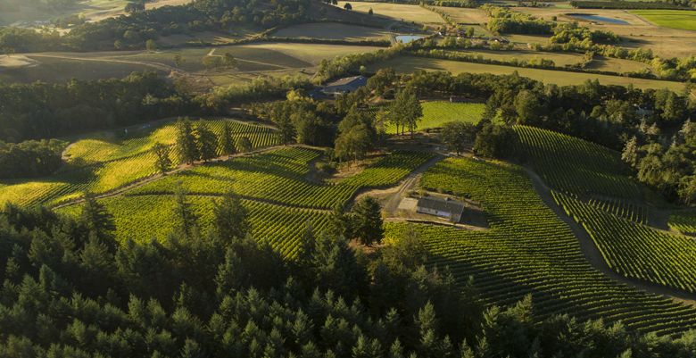 A bird’s eye view of Résonance Vineyard and winemaking facility in the Yamhill-Carlton AVA. ##Photo by Andrea Johnson