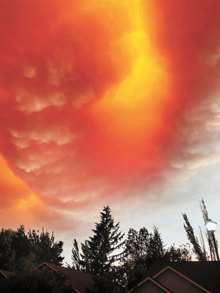 7:09 p.m.  Sept. 8: Smoke billowing overhead. ##Photo by Patrick McElligott of Sineann Wines