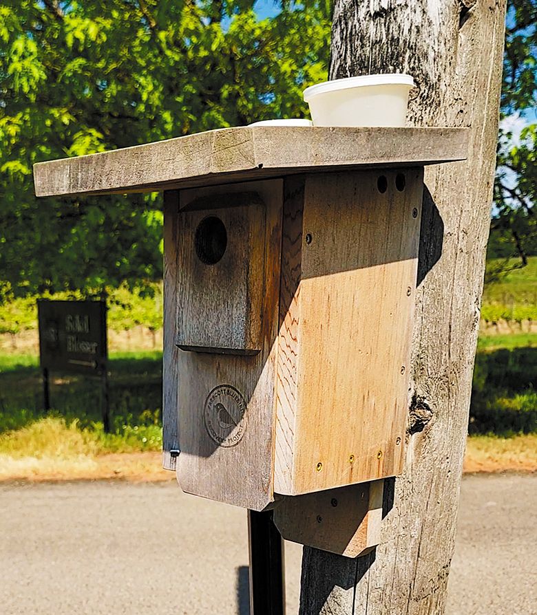 A bluebird nesting box at Sokol Blosser Winery. ##Photo provided by Sokol Blosser Winery