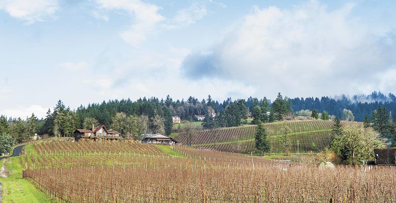 VIDON Vineyard and its winery is located near Newberg. ##Photos by Paul Cunningham, Paul Cunningham Photography