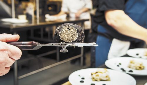 An Oregon black truffle balances on a slicer behind the scenes during the James Beard Legacy Dinner at Domaine Serene. ##Photo by Kathryn Elsesser
