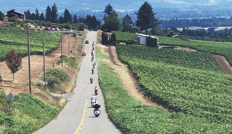 Participants in the Slow Ride Wine Country Vespa event travel down the road through the vines. ##Photo provided