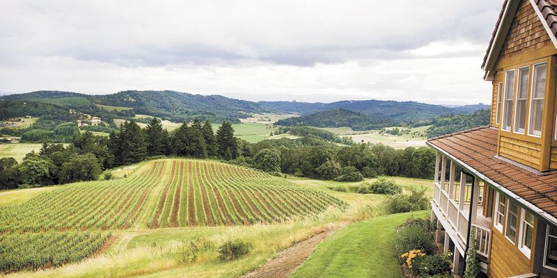 Youngberg Hill outside McMinnville. ##Photo provided