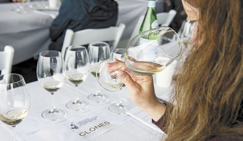Each attendee was given a flight of Chardonnay to taste and evaluate.##Photo by Andrea Johnson