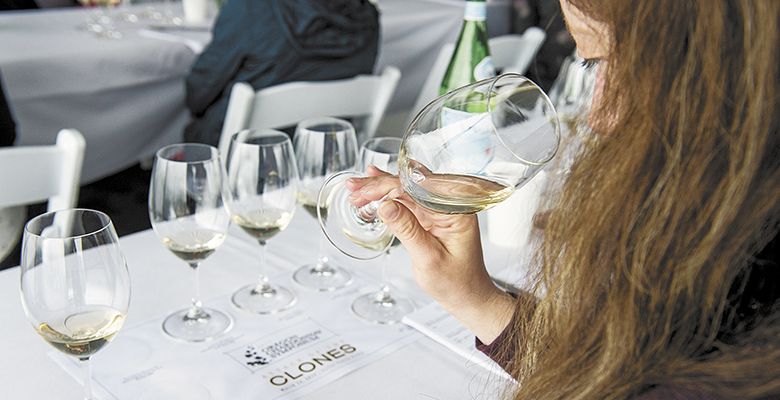 Each attendee was given a flight of Chardonnay to taste and evaluate.##Photo by Andrea Johnson