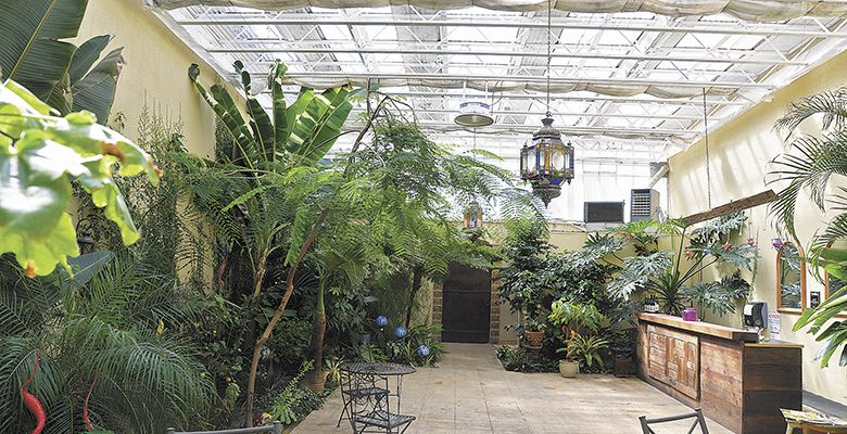 Having owned a tropical plant nursery, Burl and Cindy Mostul have incorporated their former business into their tasting room.##Photo by Jade Helm