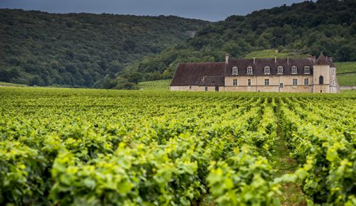 Burgundy, France