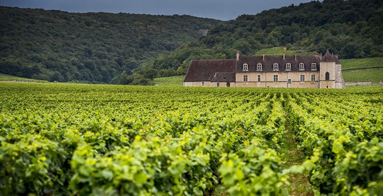 Burgundy, France