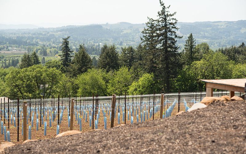 David and Sara Specter fell in
love with the view of their newly opened tasting room when
they were visiting on vacation from the Midwest.##Photo by Kerry Blackburn