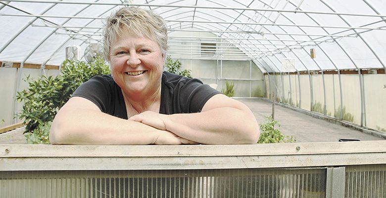Lynette Shaw stands in her
greenhouse, a part of CookSpace, a business she co-founded to help food producers
to market.##Photo by Rockne Roll