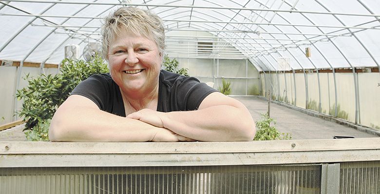 Lynette Shaw stands in her
greenhouse, a part of CookSpace, a business she co-founded to help food producers
to market.##Photo by Rockne Roll