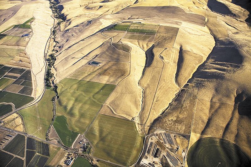 SeVein Vineyard Development
in the Walla Walla Valley.##Photo by Andrea Johnson