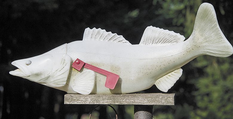 A salmon mailbox near Anne
Amie Vineyards, Yamhill Carlton AVA, reminds passersby
about run-off issues.##Photo by Andrea Johnson