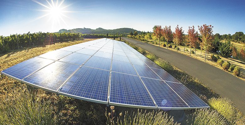 Solar panels at Left Coast Cellars, Eola-Amity Hills AVA, aid in offsetting inputs inside the winery’s LIVE-certified facility.##Photo by Andrea Johnson