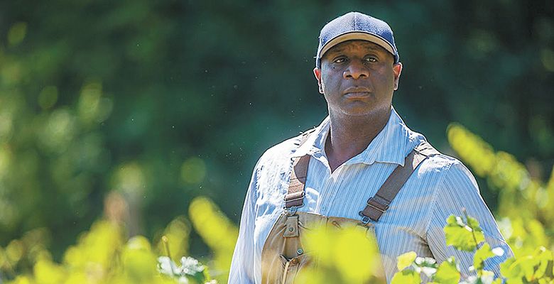 Meet Bertony Faustin, Oregon's First Black Winemaker