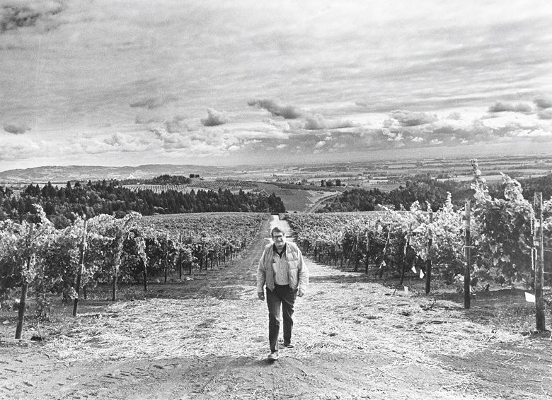Cal Knudsen strolling through his vineyard. Taken by the Vancouver Sun Newspaper in 1983 while he was CEO of MacMillan Bloedel, a major Canadian forest products company. ##Photo by Vancouver Sun