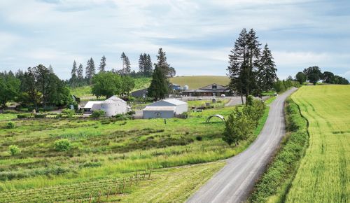 Picturesque Abbey Road Farm.##Photo by Andrea Johnson