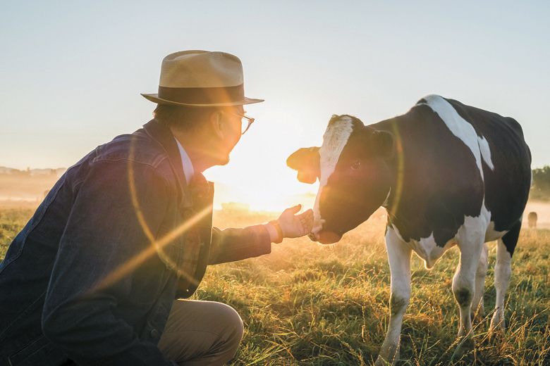 David Gremmels with one of the many cows that supply milk to Rogue Creamery.##Photo CREDIT: Favoreat